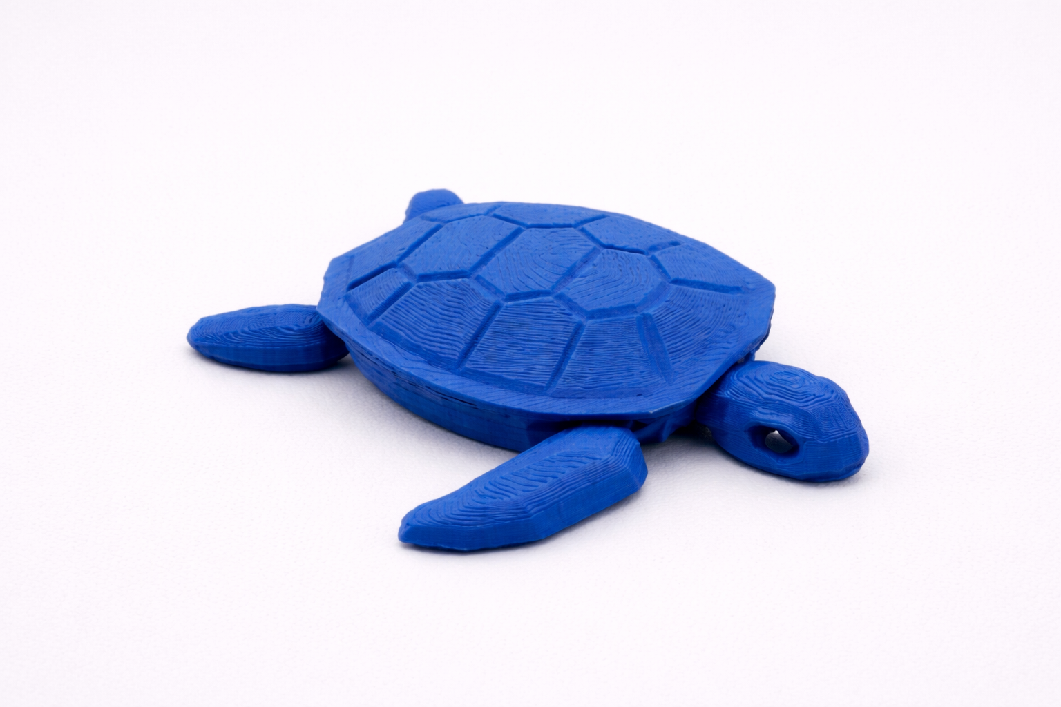 Articulated Sea Turtle - 100 x 100 x 20mm