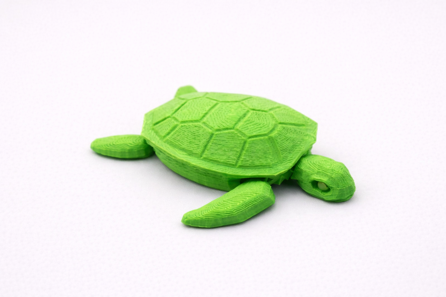 Articulated Sea Turtle - 100 x 100 x 20mm