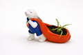 Rabbit Carrot Planter – Handmade 3D Printed Plant Pot