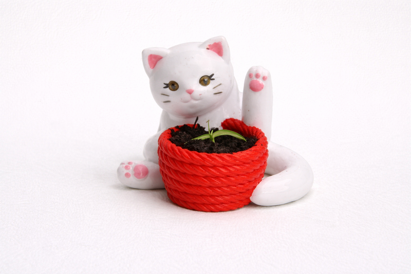 Cute 3D printed cat planter with rope style plant pot