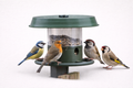 Modern Bird Feeder – Decorative Garden Seed Feeder