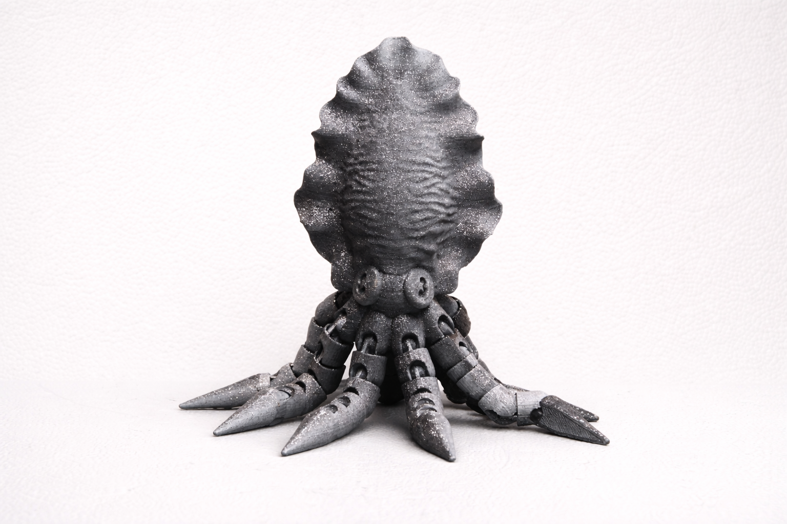 Articulated Cuttlefish Model – Flexible 3D Printed Desk Model