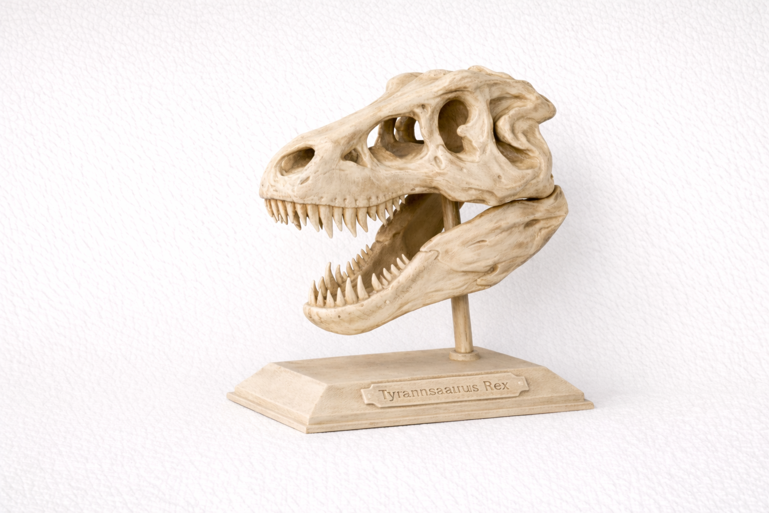 Handmade Tyrannosaurus Rex Skull Display