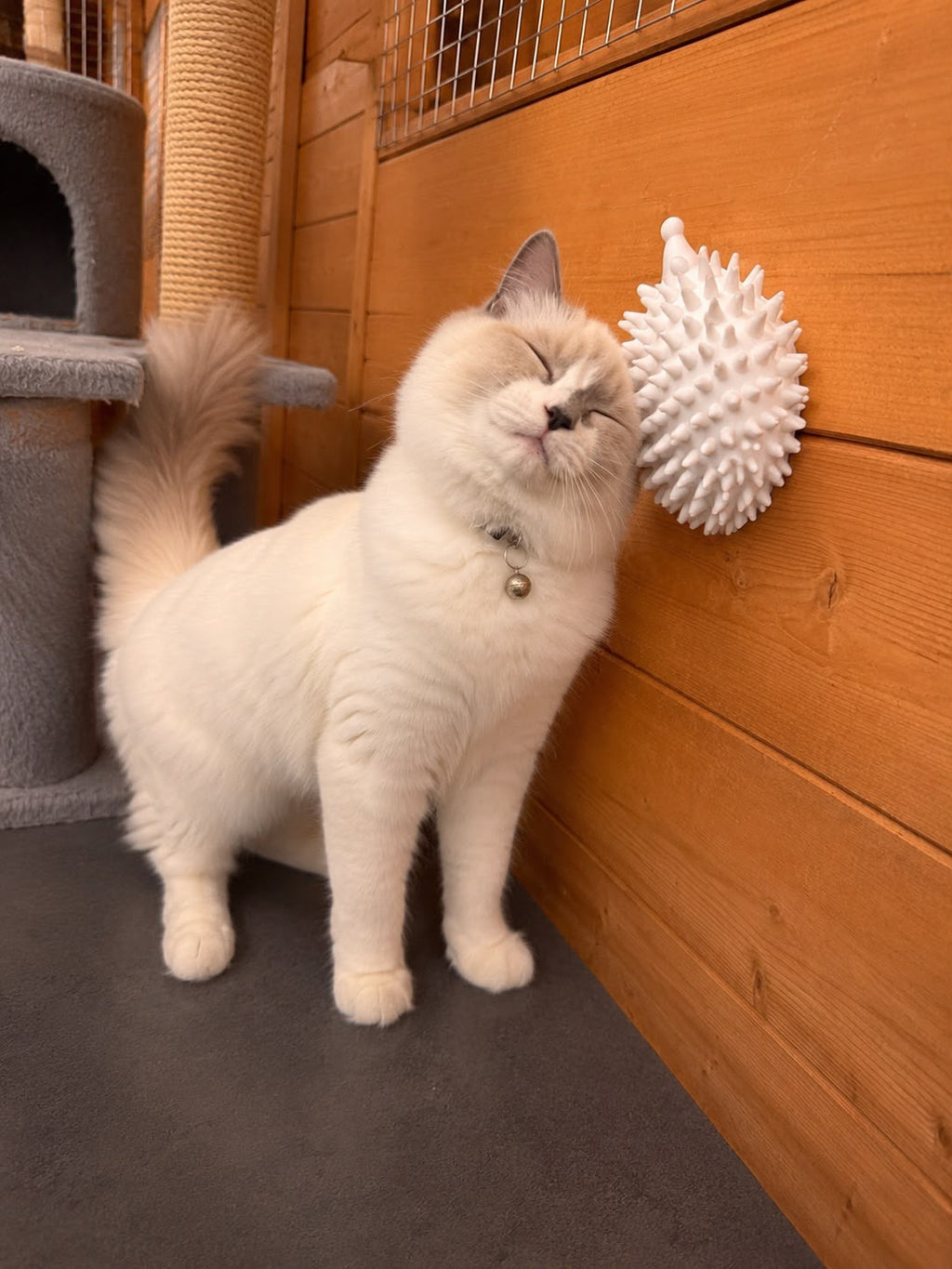 Handmade Hedgehog Cat Scratcher – Customisable Enrichment Toy