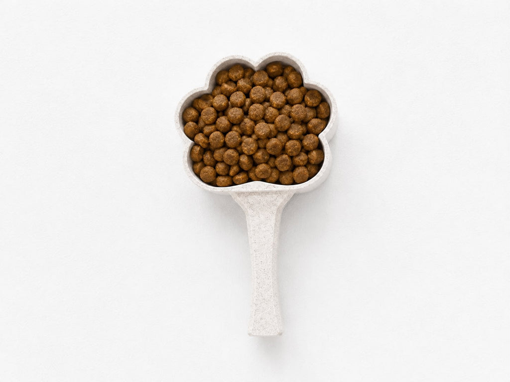 Handmade Paw-Shaped Cat Food Scoop – Customisable Pet Food Measuring Scoop
