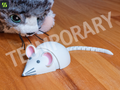 3D Printed Articulated Mouse – Cute Cat Toy / Display Model