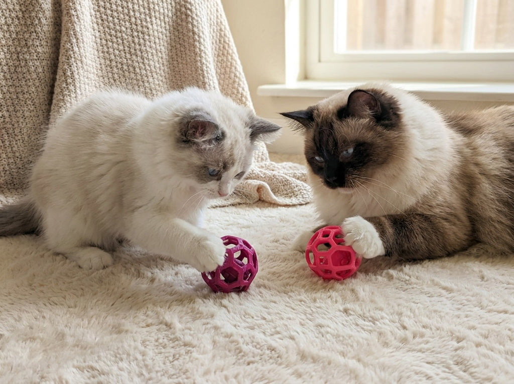 Pack of 2 Interactive Cat Balls – 3D Printed Cat Toys - Custom Colours