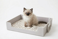 Custom 3D Printed Kitten Litter Tray & Scooper Set – Handmade to Order
